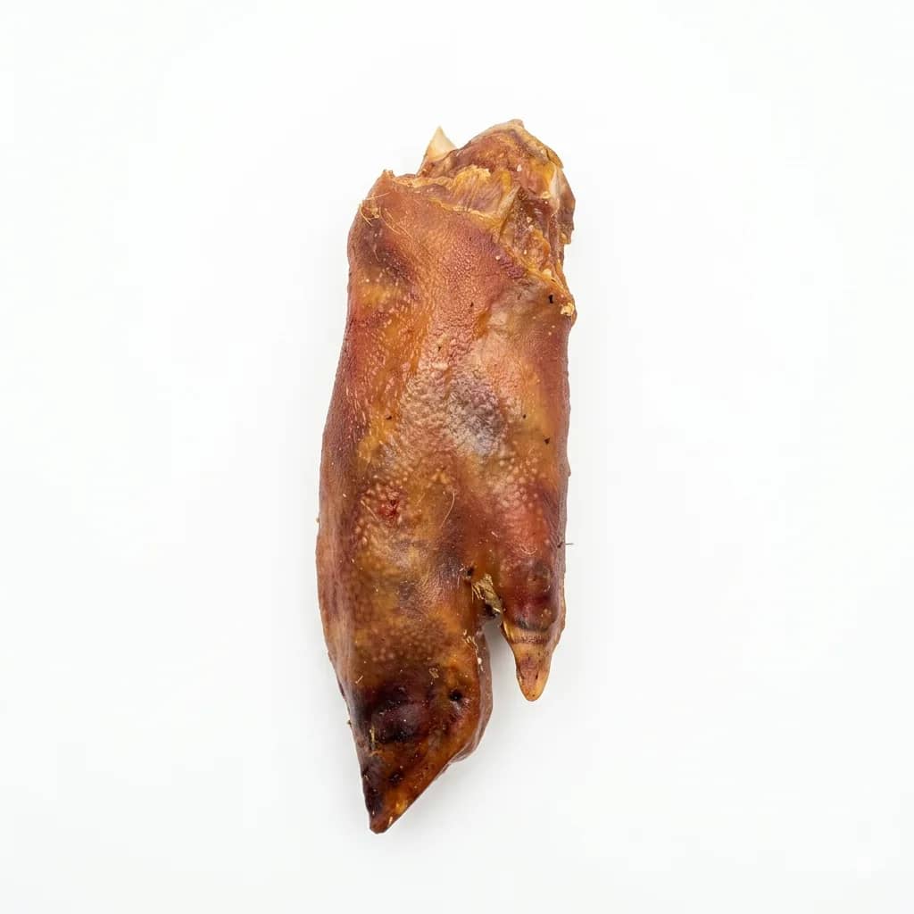 Trotter