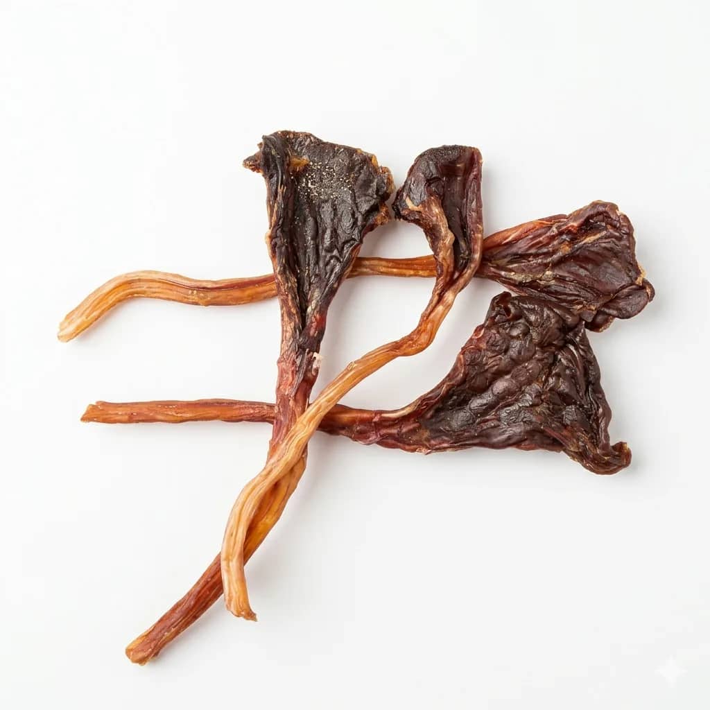 Roo Tendon